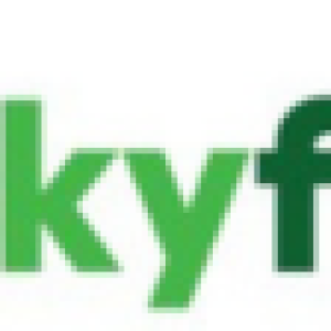 Skyfrog-logo