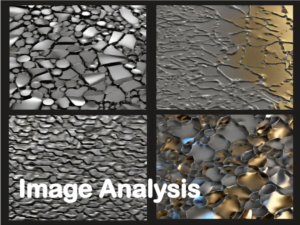 Image-analysis-ecms